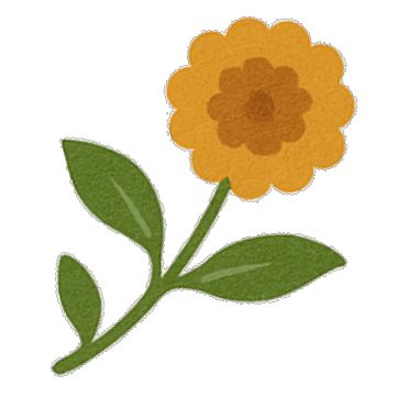 SanaRaiz_logotransp_flower_zoomed